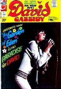 Cover Thumbnail for David Cassidy (Charlton, 1972 series) #10