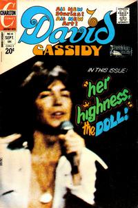 Cover Thumbnail for David Cassidy (Charlton, 1972 series) #14