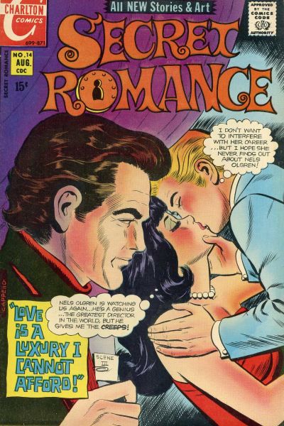 Cover for Secret Romance (Charlton, 1968 series) #14