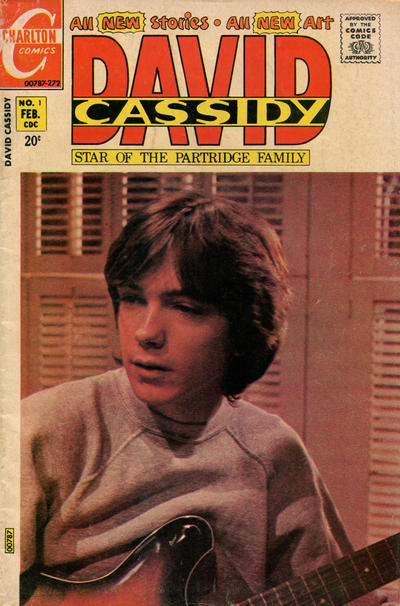 Cover for David Cassidy (Charlton, 1972 series) #1