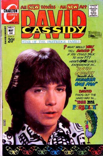 Cover for David Cassidy (Charlton, 1972 series) #3