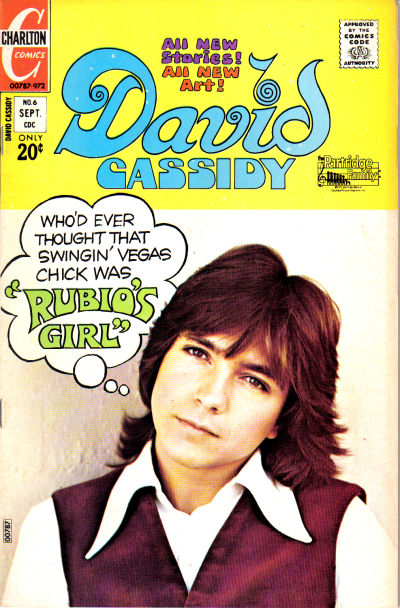 Cover for David Cassidy (Charlton, 1972 series) #6