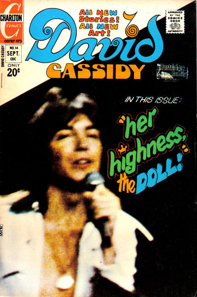 Cover for David Cassidy (Charlton, 1972 series) #14