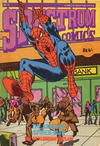 Cover for Spectrum Comics (Bennett, Coleman & Co., 1986 series) #15