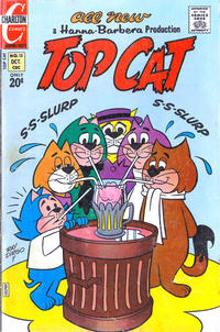 Cover Thumbnail for Top Cat (Charlton, 1970 series) #13