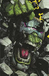 Cover Thumbnail for Hulk (2022 series) #1 (768) [TFAW Exclusive - Ryan Stegman Virgin Art]