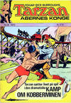 Cover for Tarzan (Williams, 1972 series) #18/1972
