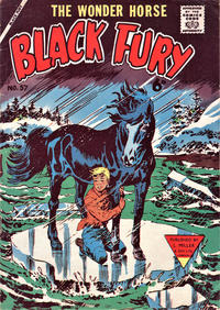 Cover Thumbnail for Black Fury (L. Miller & Son, 1957 series) #57