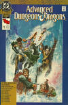 Cover for Advanced Dungeons & Dragons Annual Comic Book (DC, 1990 series) #1 [Direct]
