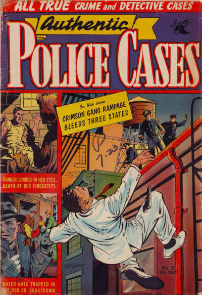 Cover for Authentic Police Cases (St. John, 1948 series) #35