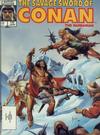 Cover for The Savage Sword of Conan (Marvel, 1974 series) #132 [Direct]