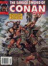 Cover Thumbnail for The Savage Sword of Conan (1974 series) #199 [Direct]