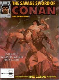Cover for The Savage Sword of Conan (Marvel, 1974 series) #205