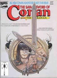 Cover for The Savage Sword of Conan (Marvel, 1974 series) #207 [Direct]