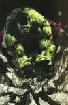 Cover Thumbnail for Hulk (2022 series) #1 (768) [Illuminati Exclusive - Marco Mastrazzo Virgin Art]