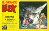 Cover for Il Grande Blek (Casa Editrice Dardo, 1976 series) #16