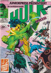 Cover for De verbijsterende Hulk Special (Juniorpress, 1983 series) #13