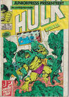 Cover for De verbijsterende Hulk Special (Juniorpress, 1983 series) #15