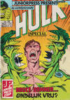 Cover for De verbijsterende Hulk Special (Juniorpress, 1983 series) #16
