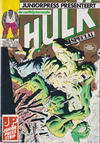 Cover for De verbijsterende Hulk Special (Juniorpress, 1983 series) #19