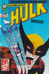 Cover for De verbijsterende Hulk Special (Juniorpress, 1983 series) #25