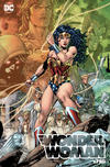 Cover Thumbnail for Wonder Woman (2016 series) #750 [Torpedo Comics Jim Lee Right Side Cover]
