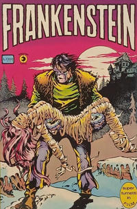 Cover Thumbnail for Collana Super Fumetti (Editoriale Corno, 1976 series) #17
