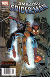 Cover for The Amazing Spider-Man (Marvel, 1999 series) #508 [Newsstand]