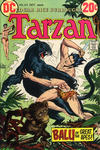 Cover for Tarzan (DC, 1972 series) #213