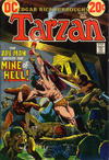 Cover for Tarzan (DC, 1972 series) #215