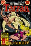Cover for Tarzan (DC, 1972 series) #219