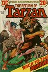 Cover for Tarzan (DC, 1972 series) #221