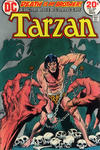 Cover for Tarzan (DC, 1972 series) #224