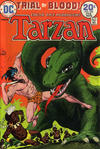 Cover for Tarzan (DC, 1972 series) #228