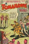 Cover for Tomahawk (DC, 1950 series) #19