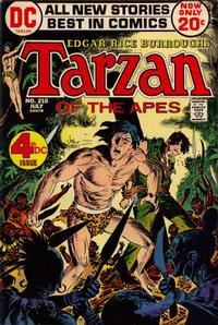 Cover Thumbnail for Tarzan (DC, 1972 series) #210
