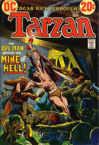 Cover Thumbnail for Tarzan (DC, 1972 series) #215