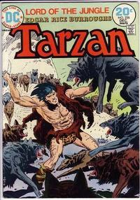 Cover Thumbnail for Tarzan (DC, 1972 series) #226