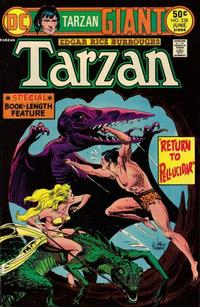 Cover for Tarzan (DC, 1972 series) #238