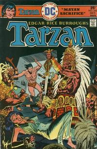 Cover for Tarzan (DC, 1972 series) #242
