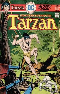 Cover for Tarzan (DC, 1972 series) #244