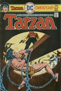 Cover for Tarzan (DC, 1972 series) #247