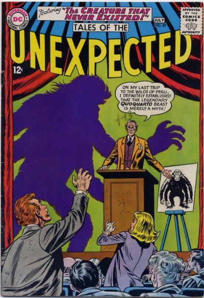 Cover for Tales of the Unexpected (DC, 1956 series) #89