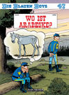 Cover for Die blauen Boys (Salleck, 2004 series) #47 - Wo ist Arabeske?