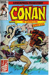 Cover for Conan de Barbaar Special (Juniorpress, 1985 series) #20