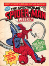 Cover for The Spectacular Spider-Man Weekly (Marvel UK, 1979 series) #367