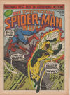 Cover for The Spectacular Spider-Man Weekly (Marvel UK, 1979 series) #349