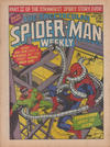 Cover for The Spectacular Spider-Man Weekly (Marvel UK, 1979 series) #365
