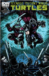 Cover Thumbnail for Teenage Mutant Ninja Turtles (2011 series) #26 [Cover B - Kevin Eastman Variant]