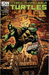 Cover Thumbnail for Teenage Mutant Ninja Turtles (2011 series) #27 [Cover B - Kevin Eastman Variant]